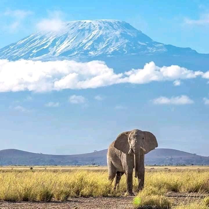 About Arusha National Park