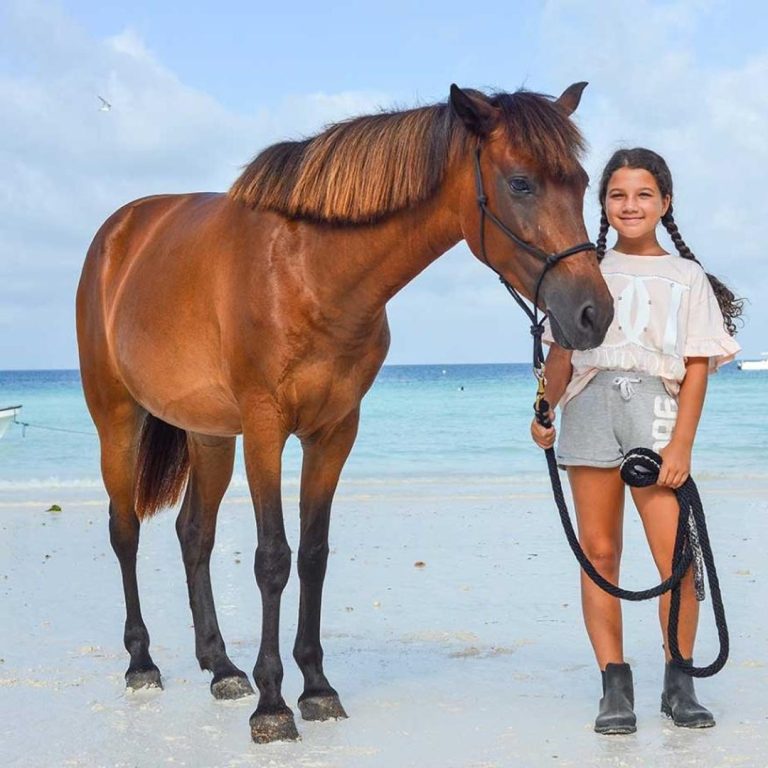 Half-Day Zanzibar Horse Riding Tour