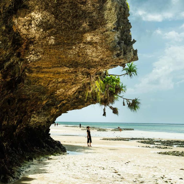 Half-Day – Zanzibar Jozani Forest Walking Tour