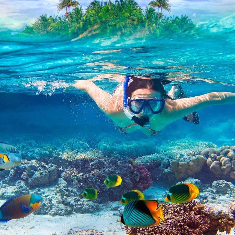 Half-Day – Zanzibar Mnemba Island Dolphins & Snorkeling Tour