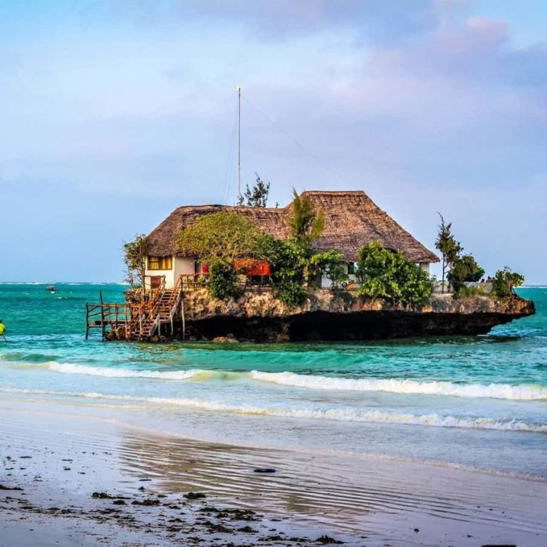 Zanzibar Full-Day Local Village Tour & Nature Trails
