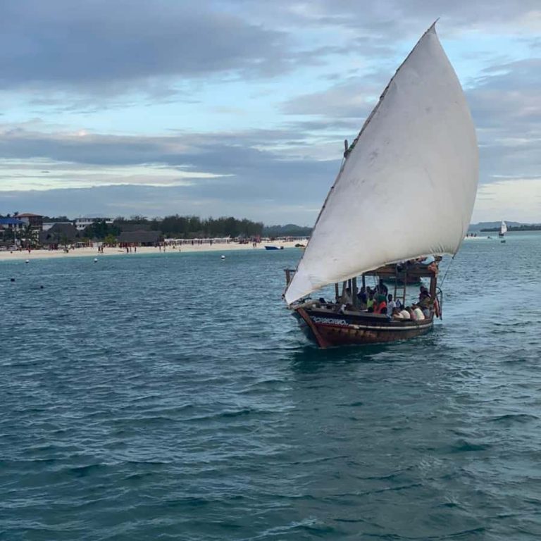 Zanzibar Nungwi Turtles & Private Sunset Dhow Cruise